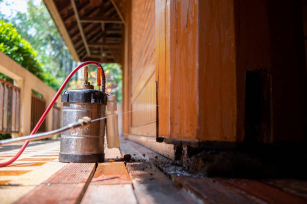 Best Pest Control for Businesses  in Saint Davids, PA