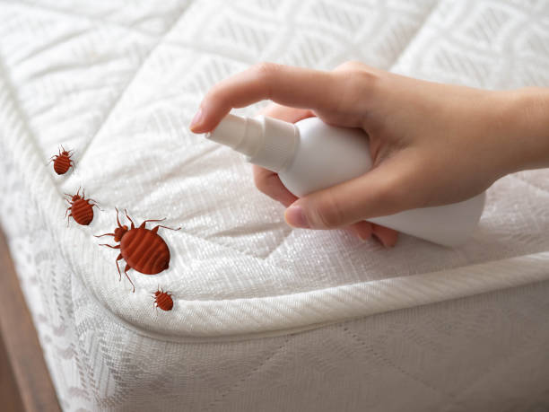 Best Mosquito Control Services  in Saint Davids, PA